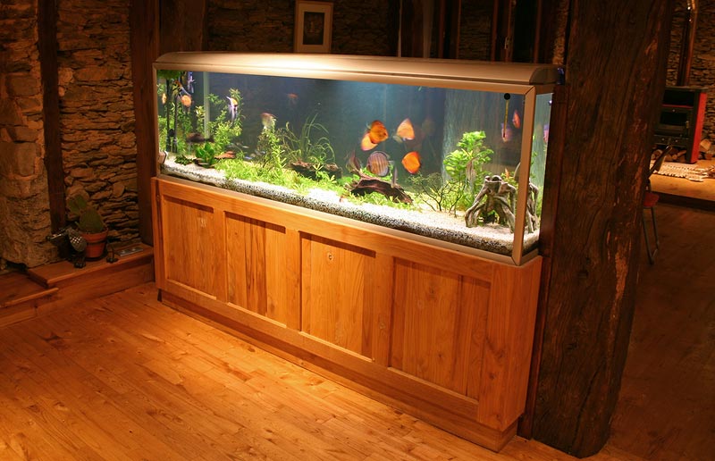 Fish Tank Removals Brisbane