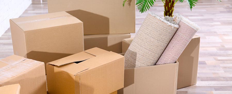 Removalists Brisbane