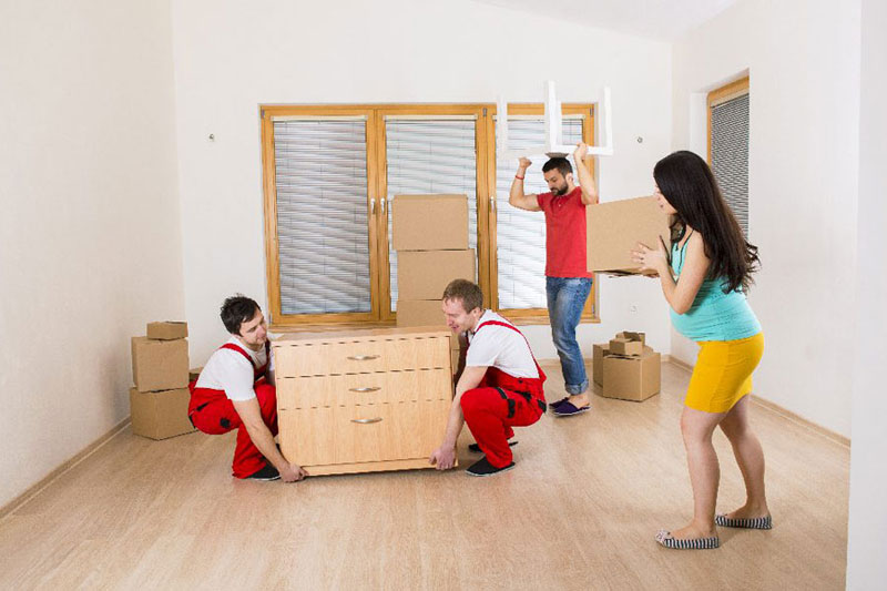 Furniture Movers Coomera